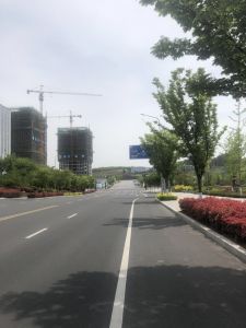 【LED路燈項(xiàng)目案例】青島某主干路路燈工程項(xiàng)目