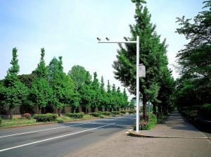 交通信號燈